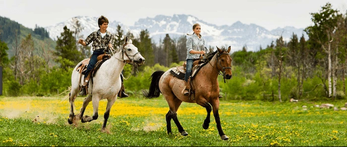 Confident plus-size woman riding Ladymoor a horse through a field with a smile on her face.